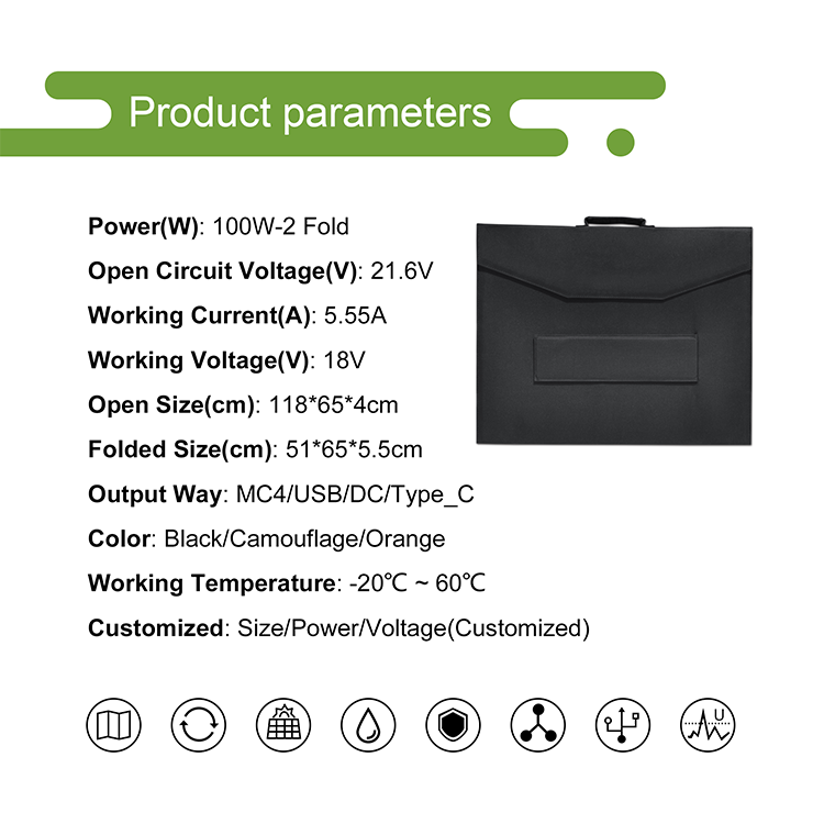 SolarLuxe: 100W Portable Solar Panel - Power Anywhere!